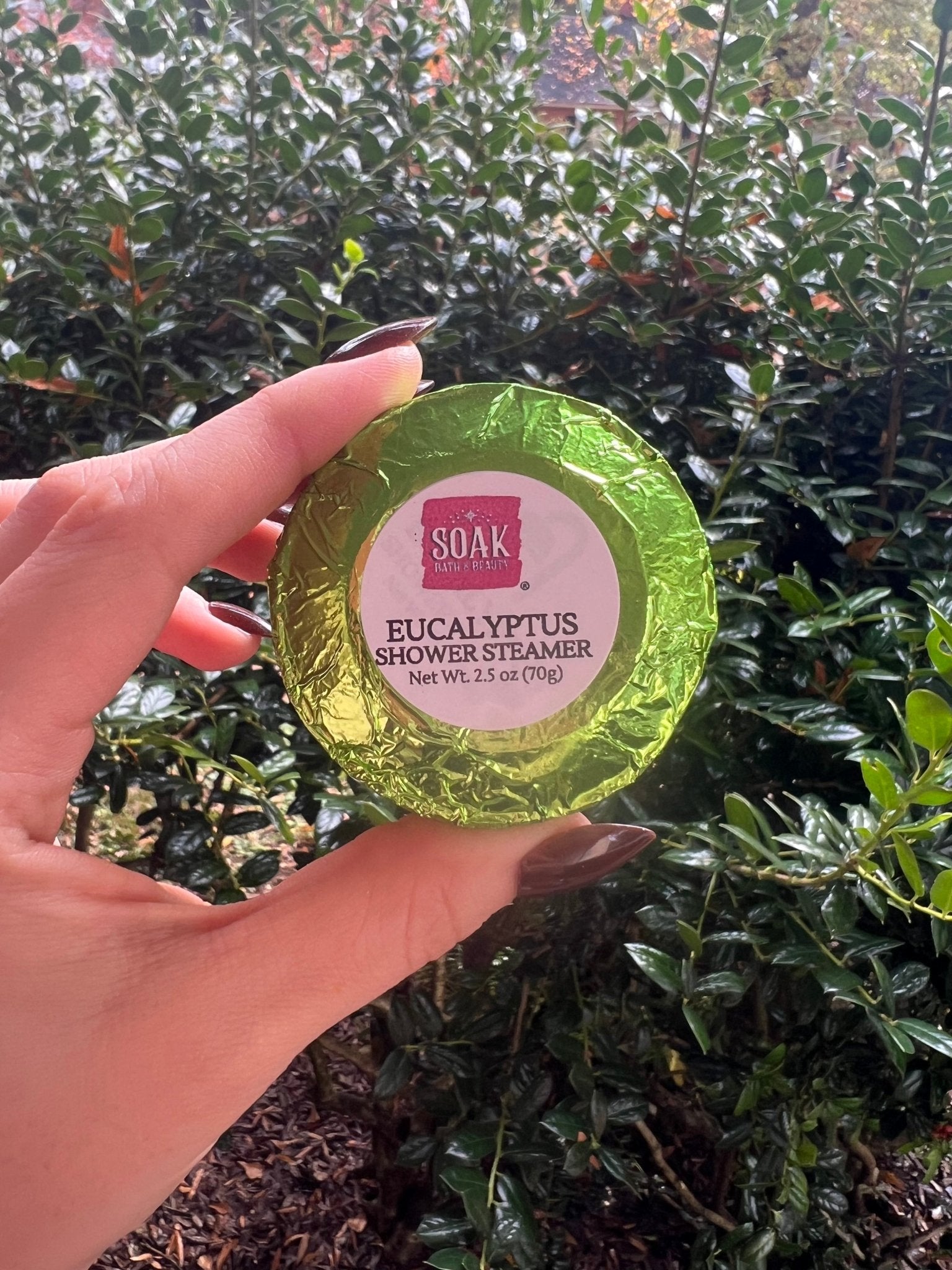 Eucalyptus Shower Bomb