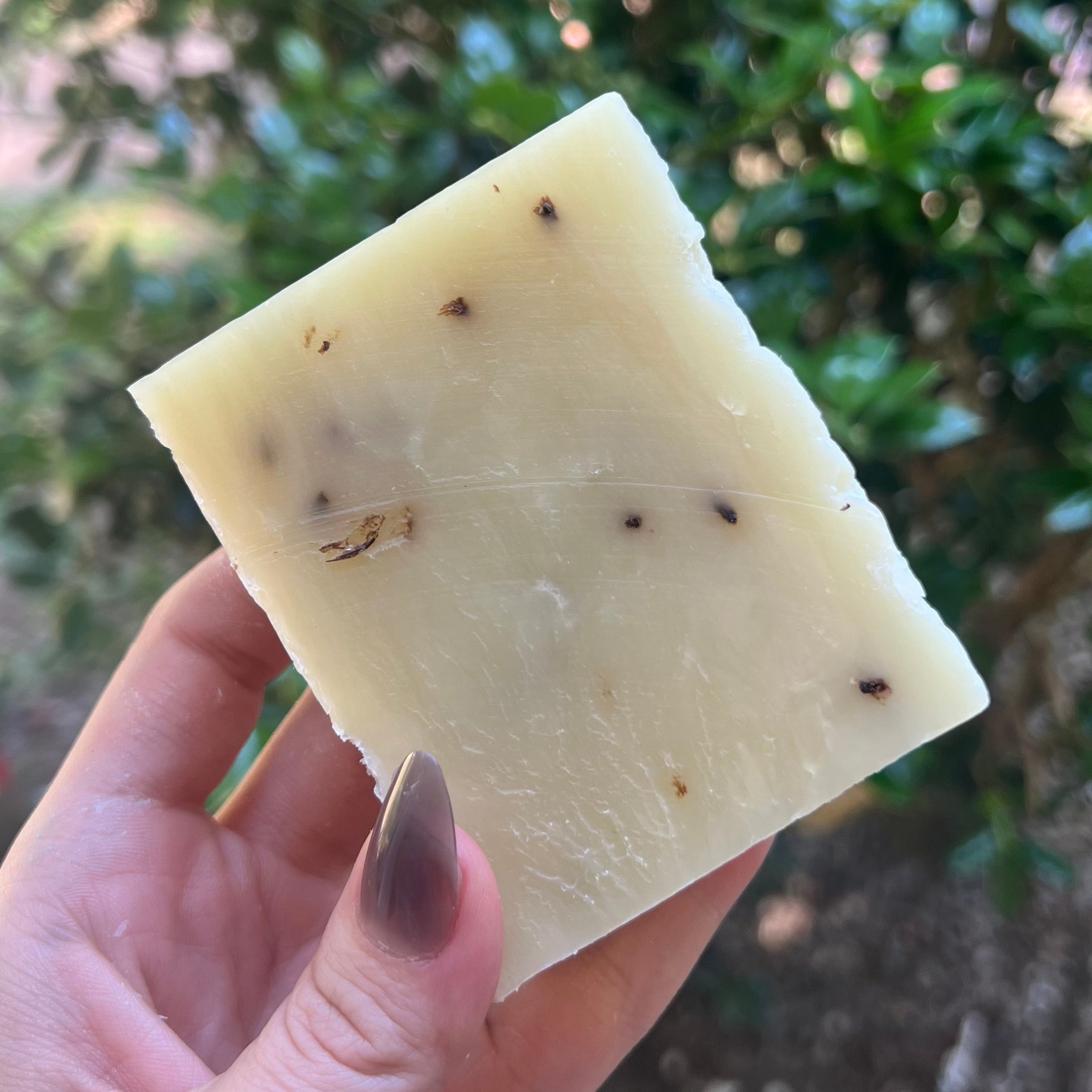 Flowering Lavender Soap Bar