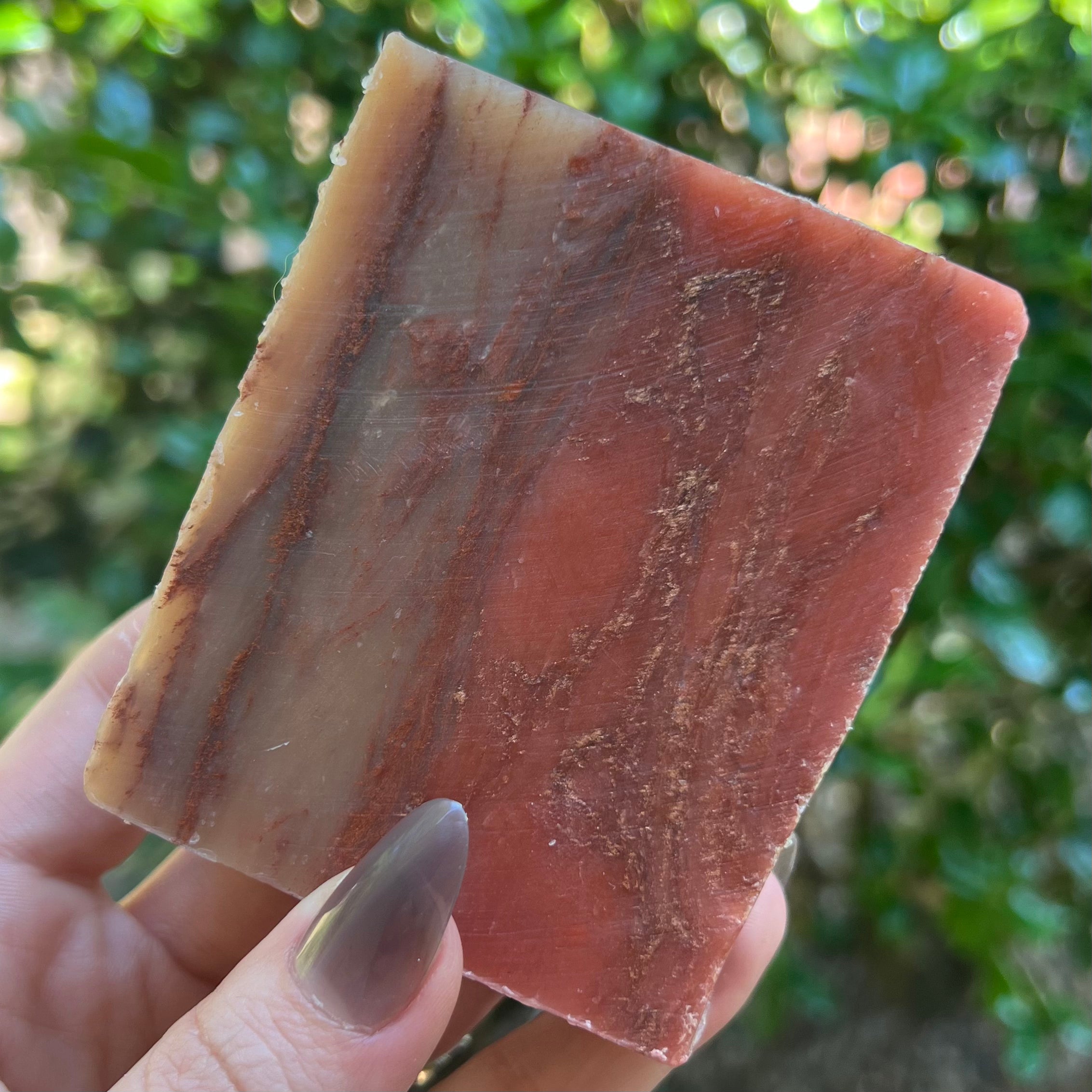 Orchard Soap Bar