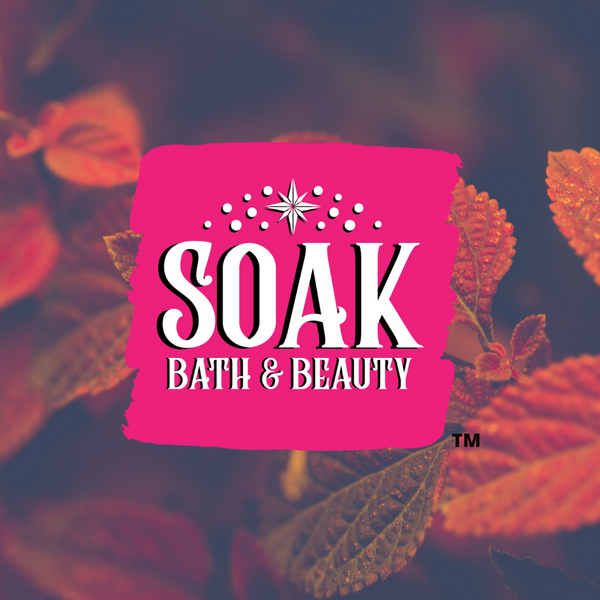 Autumn Dream Soap Bar